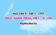 Soạn bài Thực hành tiếng Việt trang 109 Ngữ văn lớp 9 tập 1 Chân trời sáng tạo